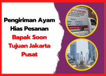 Pengiriman Ayam Hias Pesanan Bapak Soon Tujuan Jakarta Pusat | thumnail