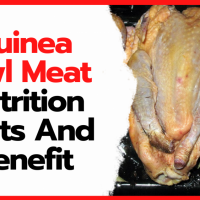 Guinea fowl meat nutrition facts and benefit