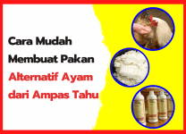 Cara Mudah Membuat Pakan Alternatif Ayam dari Ampas Tahu