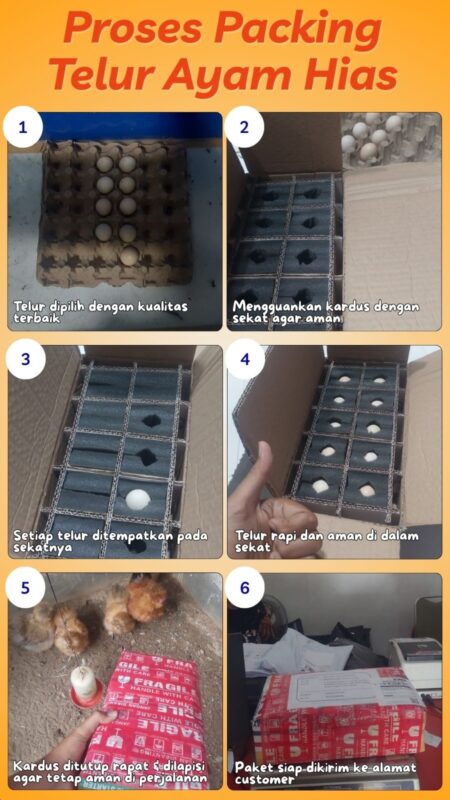 Packing telur ayam hias