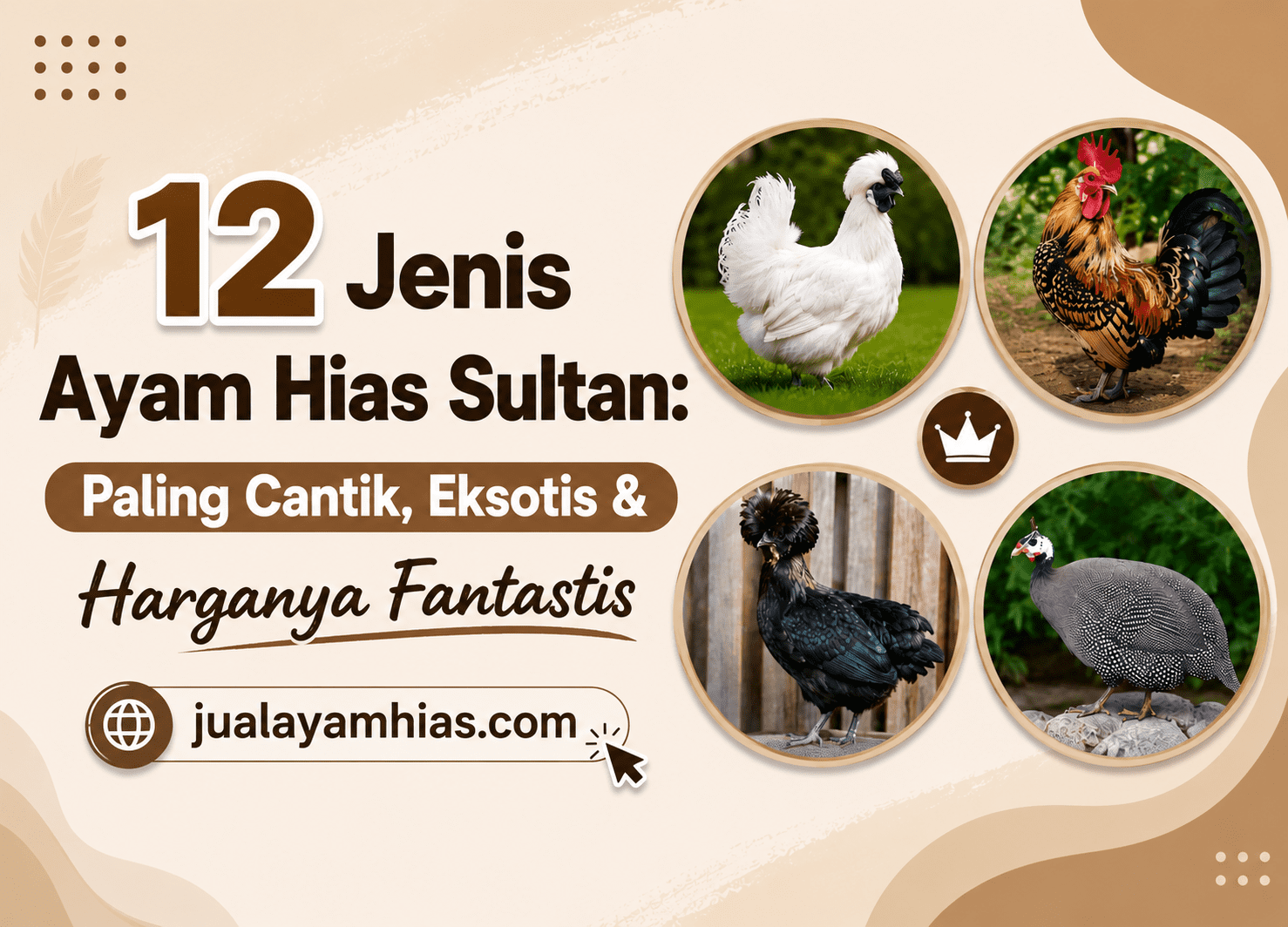 12 Jenis Ayam Hias