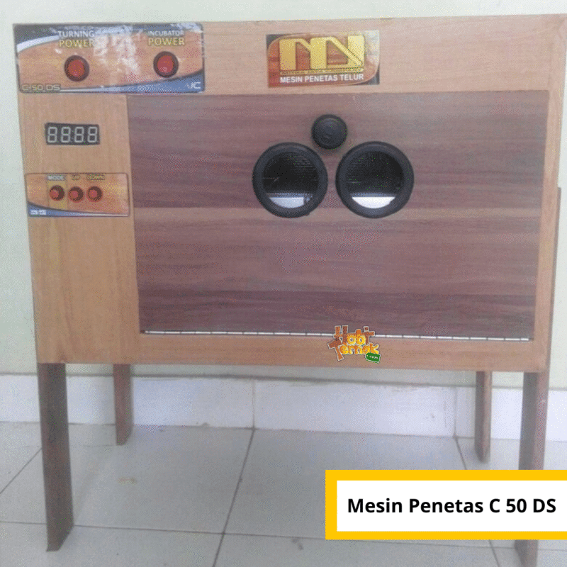 Mesin penetas digital sistem C 50