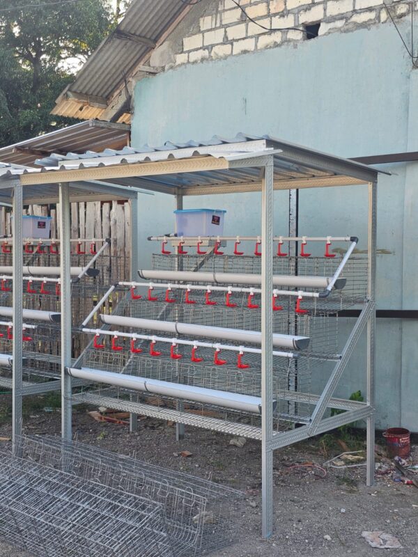 Kandang baterai galvanis untuk ayam petelur